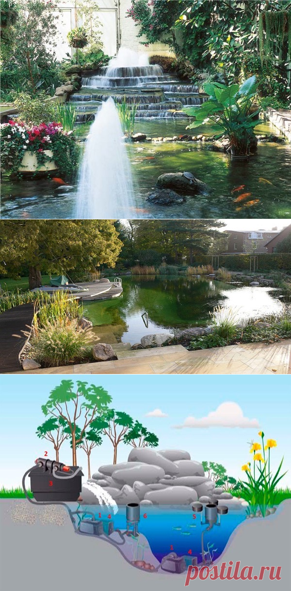 Системы фильтрации воды в декоративных прудах | Блог elisheva.ru