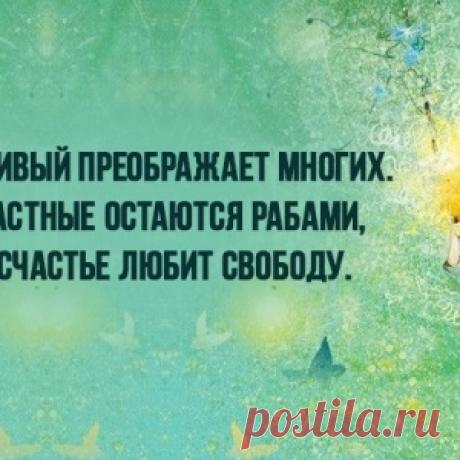 Одна из лучших притч царя Соломона