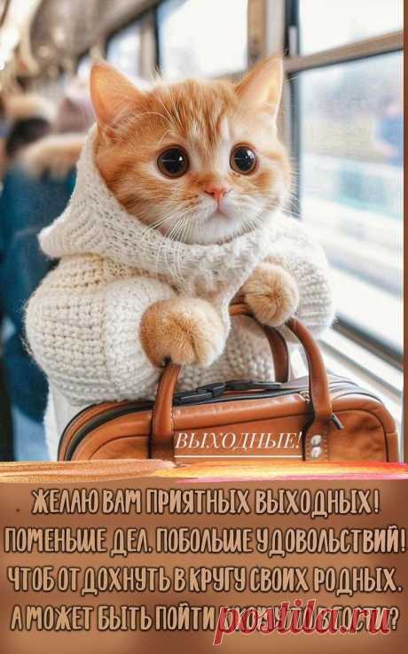 Pin page