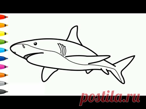 Как нарисовать акулу