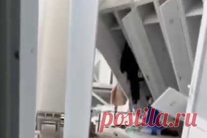 Разрушенный ракетным ударом российский спорткомплекс сняли на видео изнутри