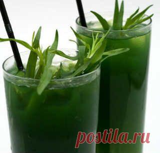 Домашний тархун