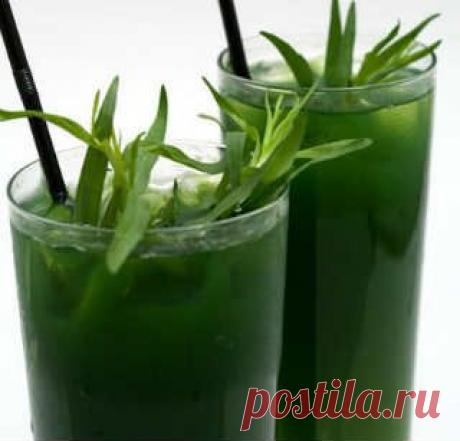 Домашний тархун