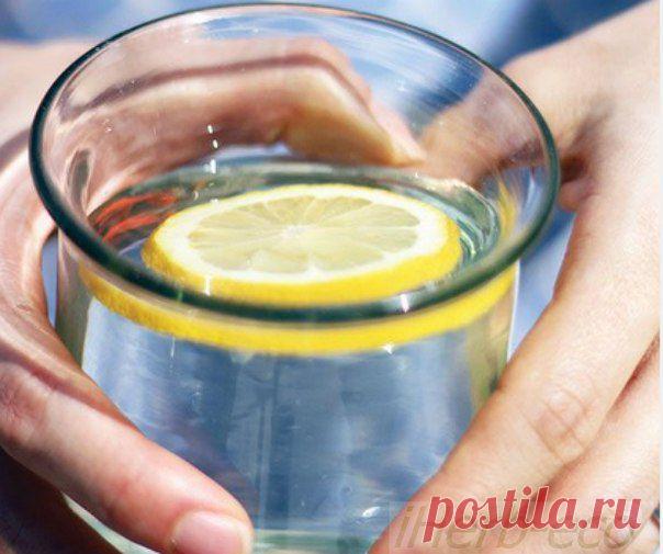 Wall | VK
Полезные Советы Худеющим от iHerb
Следуя этим простым правилам, вы за полтора месяца приучите себя питаться правильно и скинете ненавистные килограммы и оздоровите свой организм.