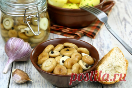 Маринованные грузди в банках