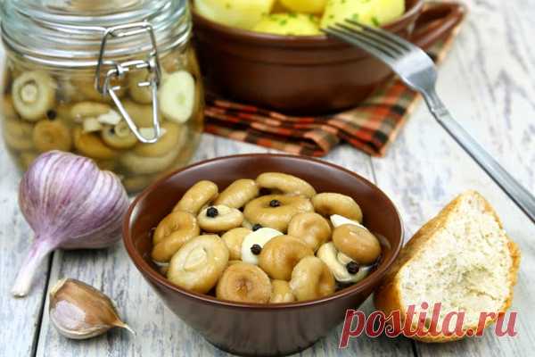 Маринованные грузди в банках