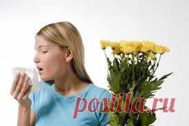 Здоровье | Записи в рубрике Здоровье | Дневник LediLana " О самом интересном и познавательном"