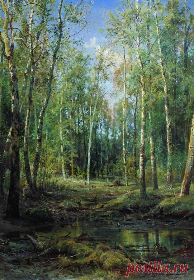 Шишкин Иван Иванович (1832-1898): Берёзовая роща 1875 115х88. Кто не испытывал на себе благоприятное влияние леса, не черпал в нем физической и духовной силы! Красочность, величие и богатства наших лесов пробуждают в нас эстетические чувства. «Леса учат человека понимать прекрасное», - эти замечательные слова принадлежат А.П. Чехову. И действительно, Именно в лесах с необычайной силой и выразительностью представлены могущество и величавая красота природы.