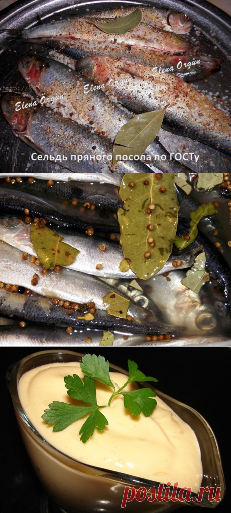 Сохраните, чтобы не потерять