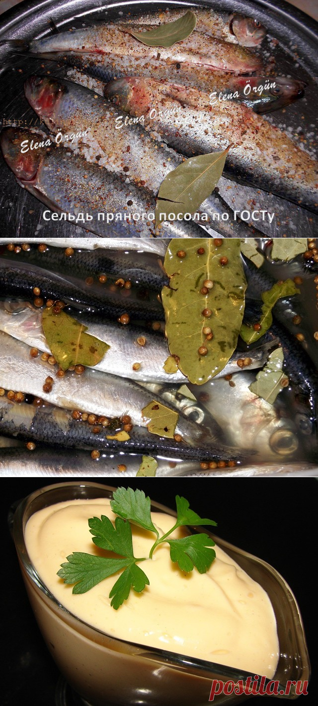 Сохраните, чтобы не потерять