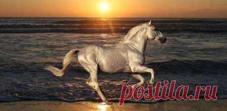 Светлана Рябикина