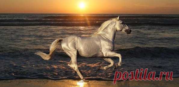 Светлана Рябикина