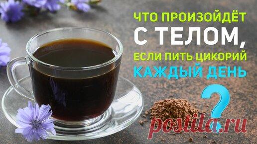 Что произойдет, если пить цикорий каждый день. Как проверить качество цикория дома? | Здоровьесберегающий канал | Дзен