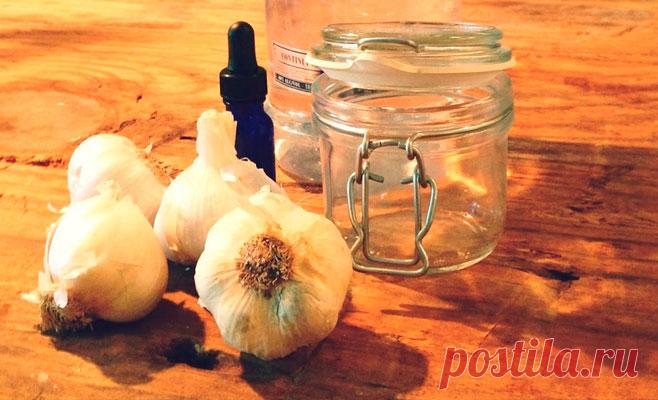 Чеснок и вода спасли меня от целого «букета» болезней. Рецепт, который дала знакомая бабушка на рынке!