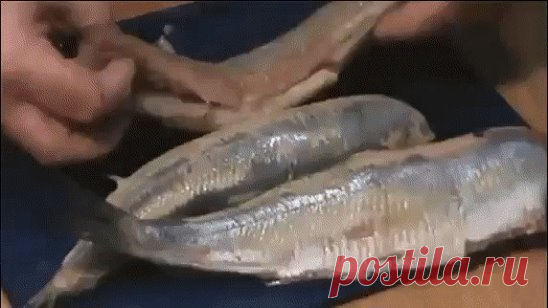 СЕЛЁДКА "ХЕ"