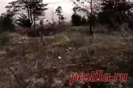 Возможная гибель британского наемника на Украине попала на видео. РИА Новости показало видео возможной гибели британского наемника на Украине, снятую на экшн-камеру украинского солдата, погибшего впоследствии в результате обстрела. На видео двое украинских военных пытаются эвакуировать третьего бойца, у которого на бронежилете заметен флаг Великобритании.
