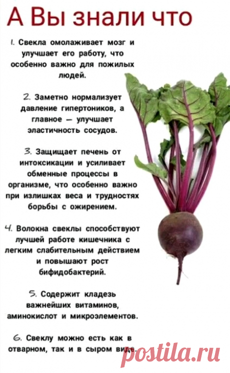 Свекла - лечебные свойства