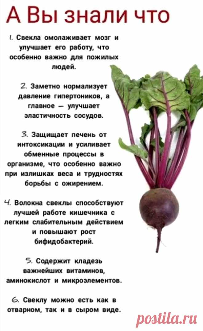 Свекла - лечебные свойства