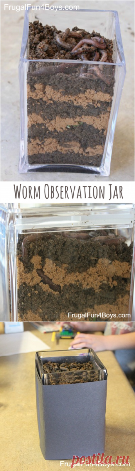 Сделать Worm наблюдения Jar - Скромный Fun для мальчиков и девочек