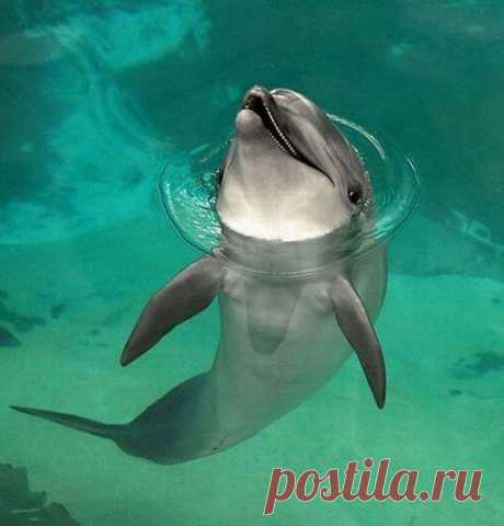 Интересные новости