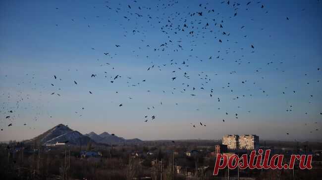 В небе над Донецком прогремели взрывы