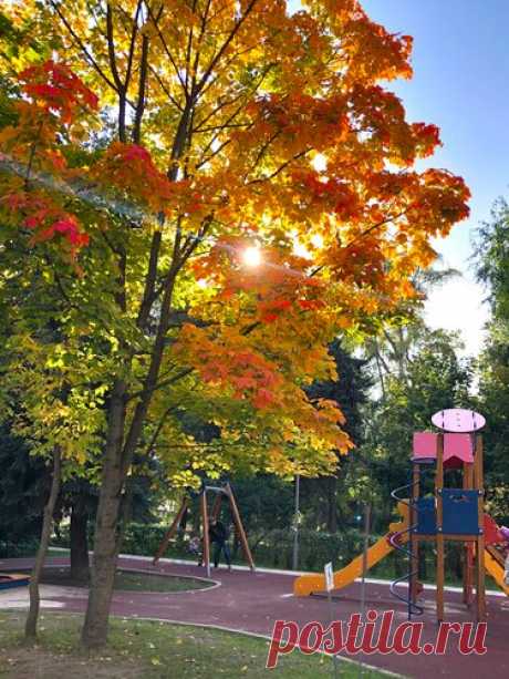 337 карточек в коллекции «Фото недели с 28 сентября по 4 октября» пользователя ЯндексКоллекции в Яндекс.Коллекциях