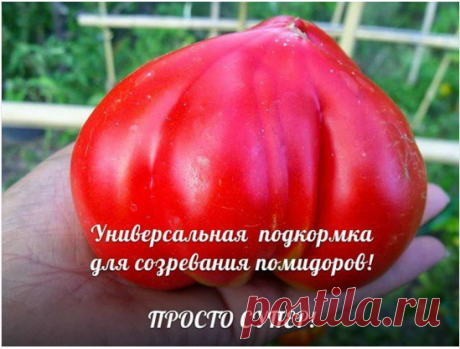 (27) Одноклассники