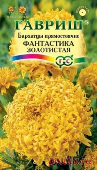 Семена. Бархатцы прямостоячие 