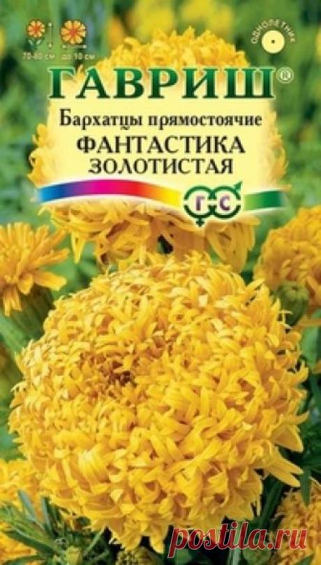 Семена. Бархатцы прямостоячие "Фантастика", золотистая (вес: 0,1 г) Всхожесть: 78%.
Уникальный сорт с исключительными по своей красоте и оригинальности соцветиями желтого оттенка. Прямостоячий куст высотой 70-80 см, устойчив к непогоде и не полегает. Первые соцветия появляются на растениях уже в июне и цветение продолжается до заморозков. Смесь особенно...