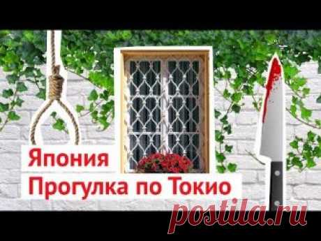 Продолжаю изучать Токио! На этот раз экскурсию мне проводила местная жительница Настя, которая приехала в Японию из Челябинска. Настя рассказала много интере...