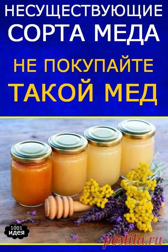 Несуществующие сорта меда: сахар и ароматизаторы вместо меда на рынке | Тысяча и одна идея