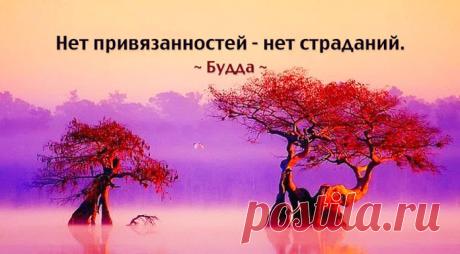 Как же это верно!