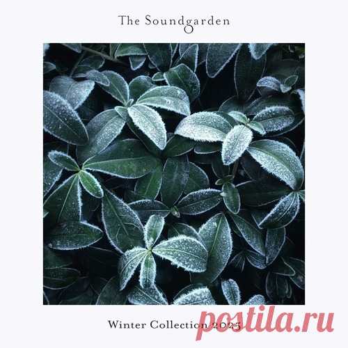 VA - Winter Collection 2025 [The Soundgarden] free download mp3 music 320kbps