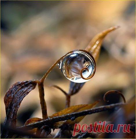 (99+) Одноклассники