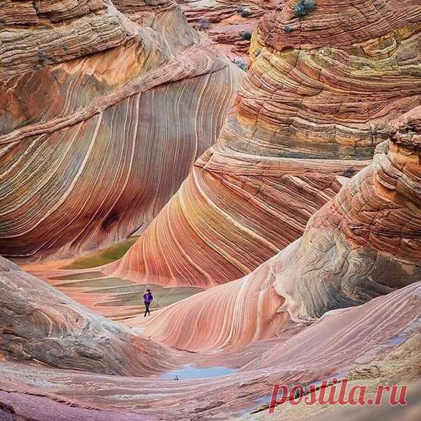 (82) Одноклассники