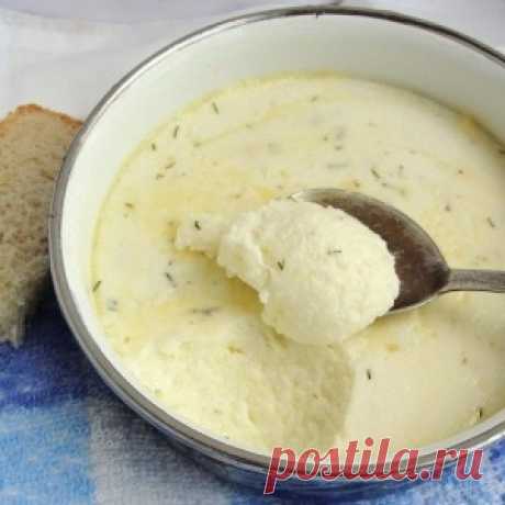 ТОП–5 вкусных домашних сыров