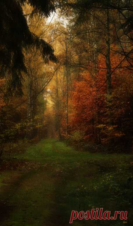 bvclairv:
“crossroads
”