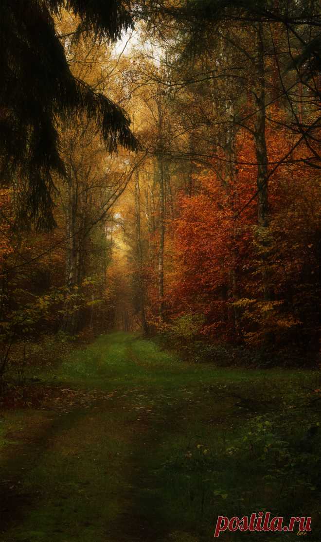 bvclairv:
“crossroads
”