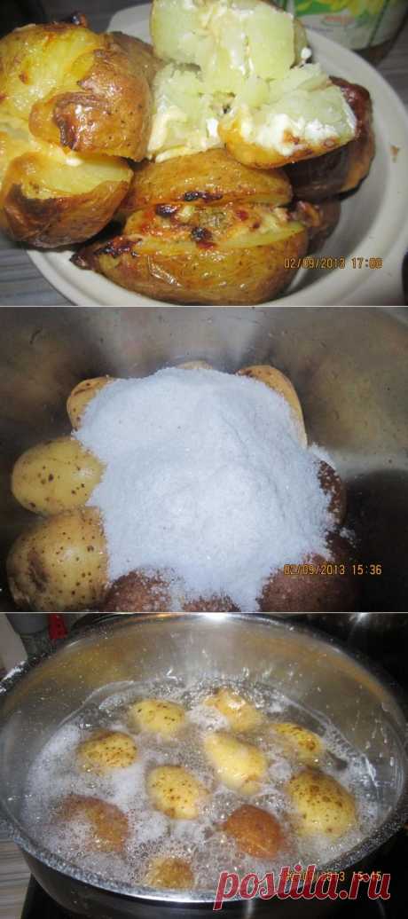 Картофель "Фрайт" - отварной, по вкусу, как печеный на костре | Четыре вкуса