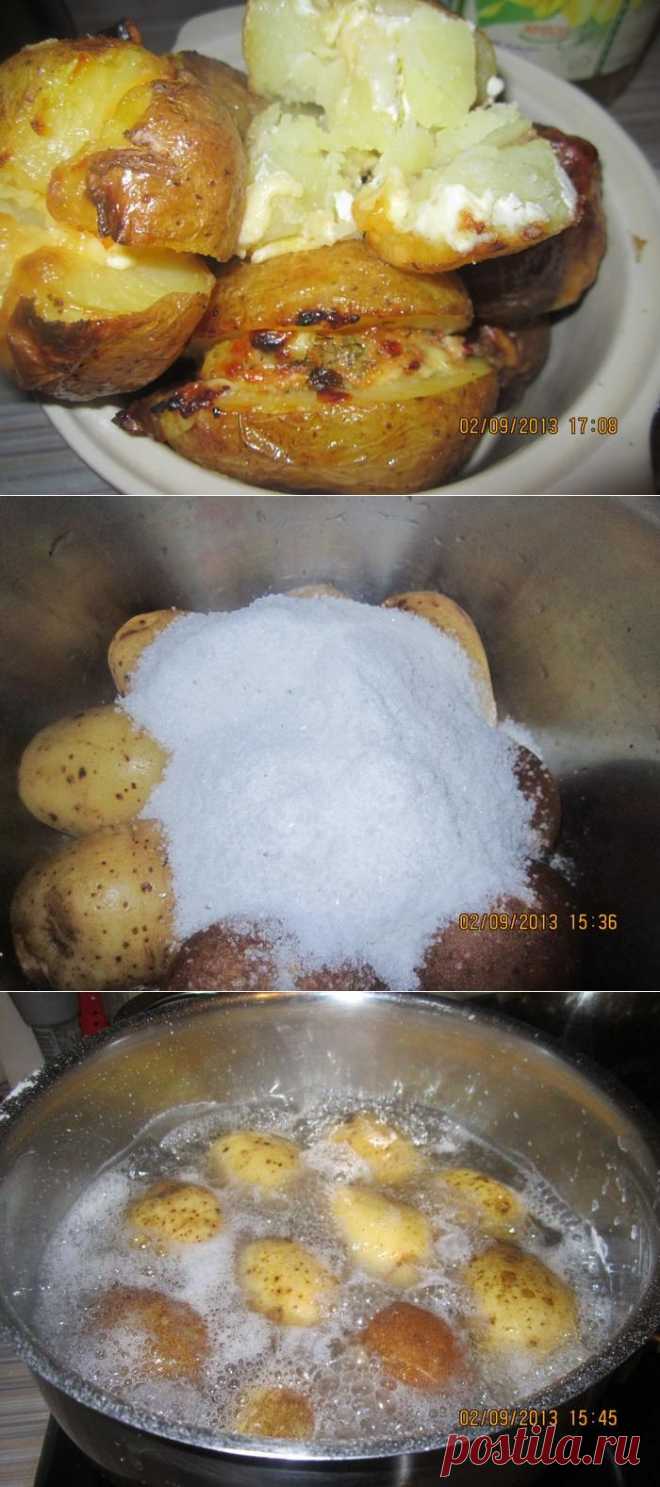 Картофель "Фрайт" - отварной, по вкусу, как печеный на костре | Четыре вкуса