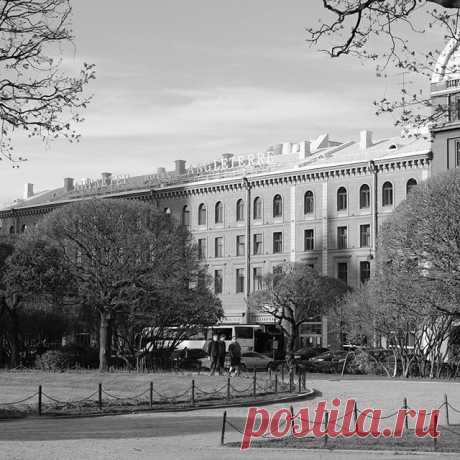 Photo by Обожаю Быть Женщиной in Счастье Англетер. На изображении может находиться: один или несколько человек, дерево, небо и на улице