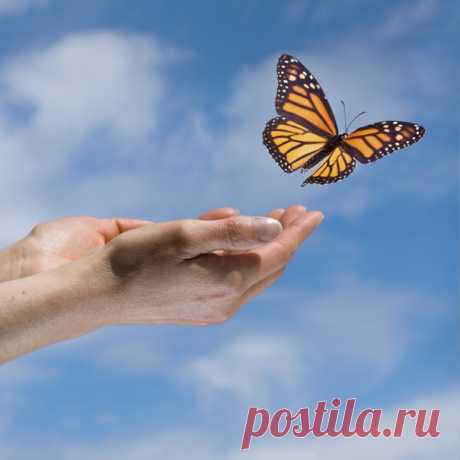 5 ЛУЧШИХ ИСТОРИЙ С МОРАЛЬЮ.

1. Однажды мышь заметила, что хозяин фермы поставил мышеловку. Она рассказала об этом курице, овце и корове. Но все они отвечали: "Мышеловка - это твои проблемы, к нам она никакого отношения не имеет!"

Чуть позже в мышеловку попалась змея - и укусила жену фермера. Пытаясь ее излечить, жене приготовили суп из курицы. Потом зарезали овцу, чтобы накормить всех, кто приехал навестить больную. И, наконец, закололи корову, чтобы достойно накормить г...