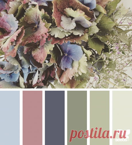 Flora Palette | Design Seeds