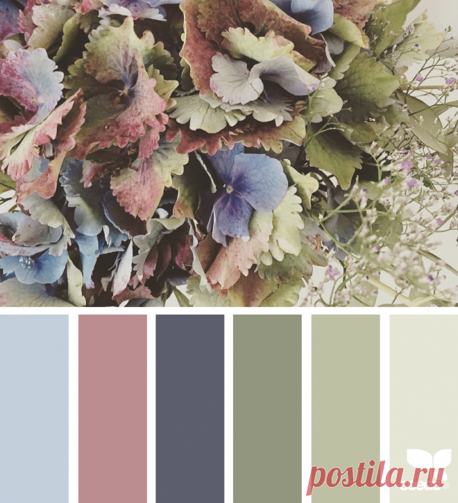 Flora Palette | Design Seeds