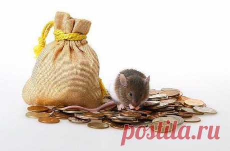 Интересные новости