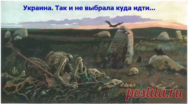 (13) Владислав Онищенко