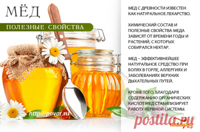 Мед полезные свойства
