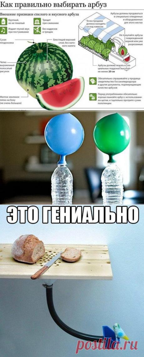 (+1) - Советы, которые облегчат вашу жизнь - 2 | Среда обитания