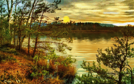 Мой Мир@Mail.Ru