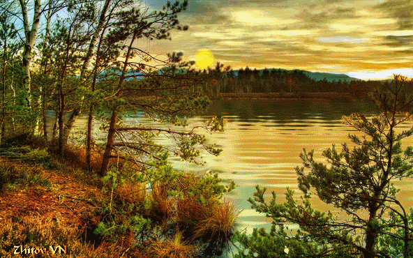 Мой Мир@Mail.Ru